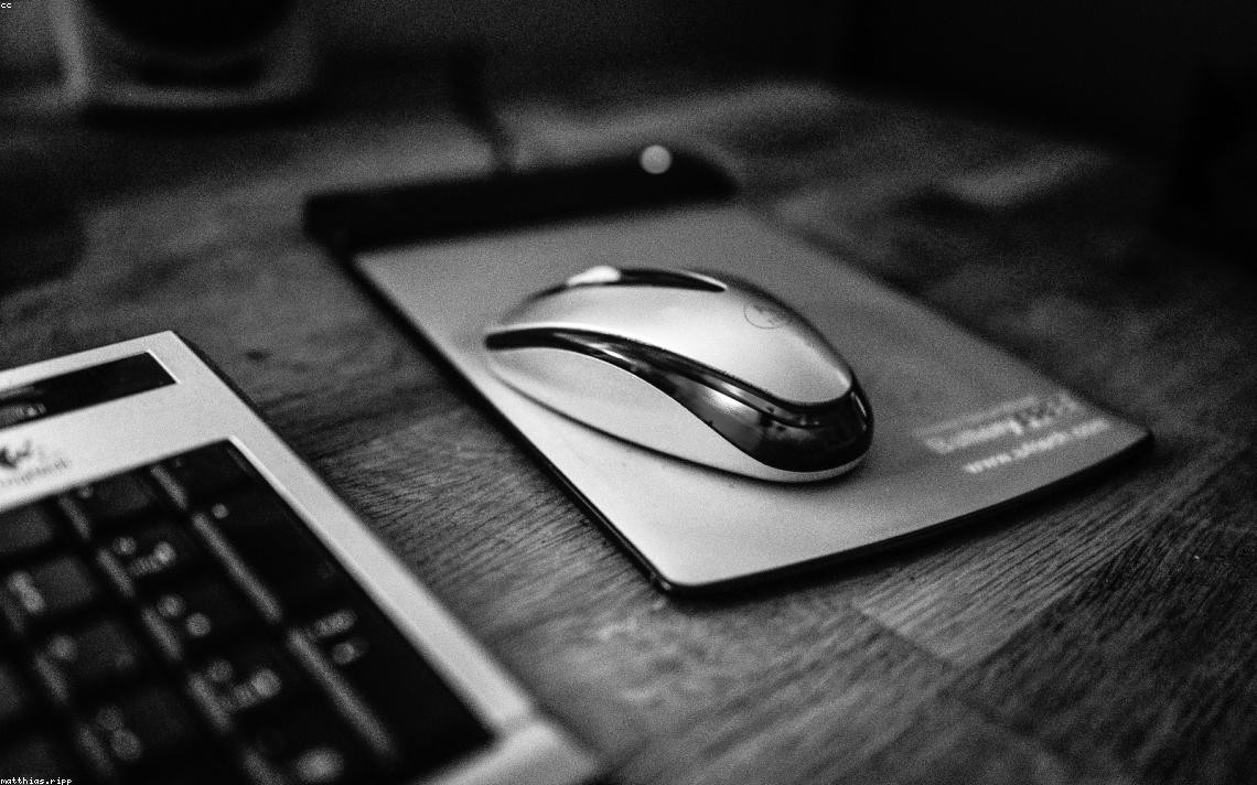 acelerar el rendimiento web para startups en fase seed