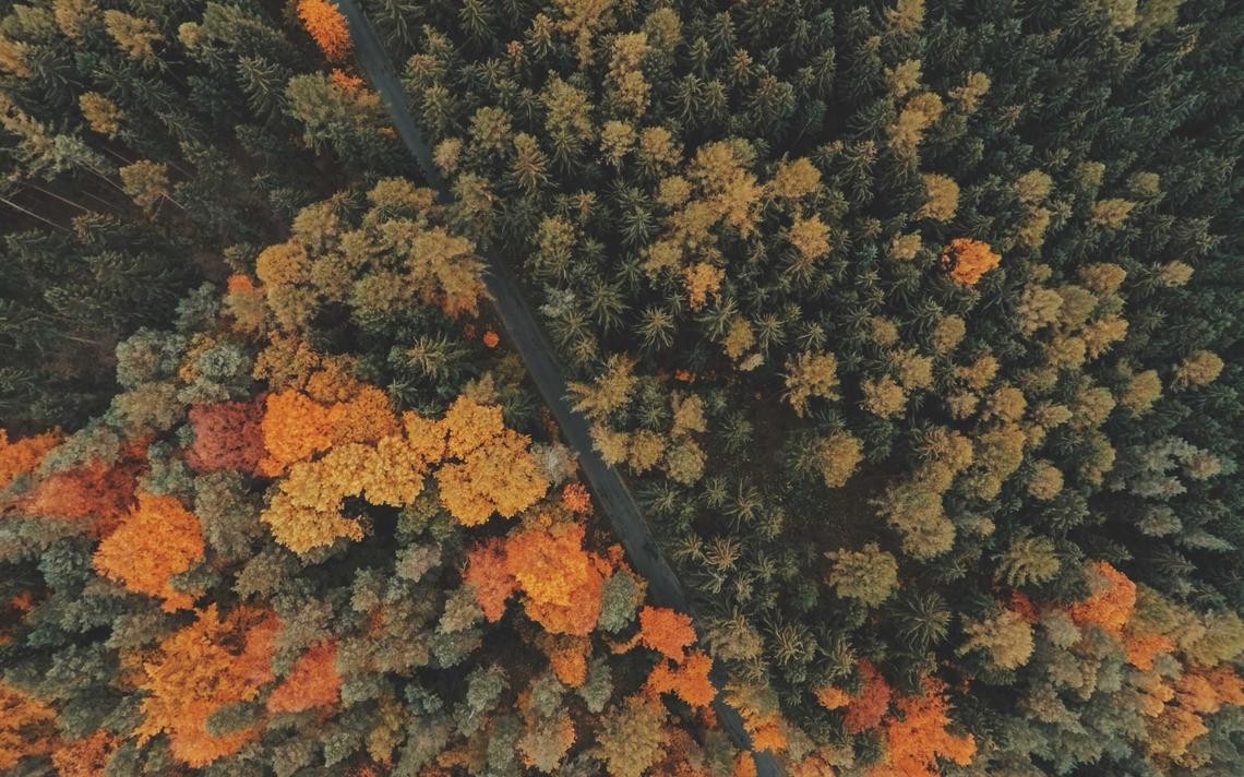 briefingar un proyecto digital para marcas de alimentación