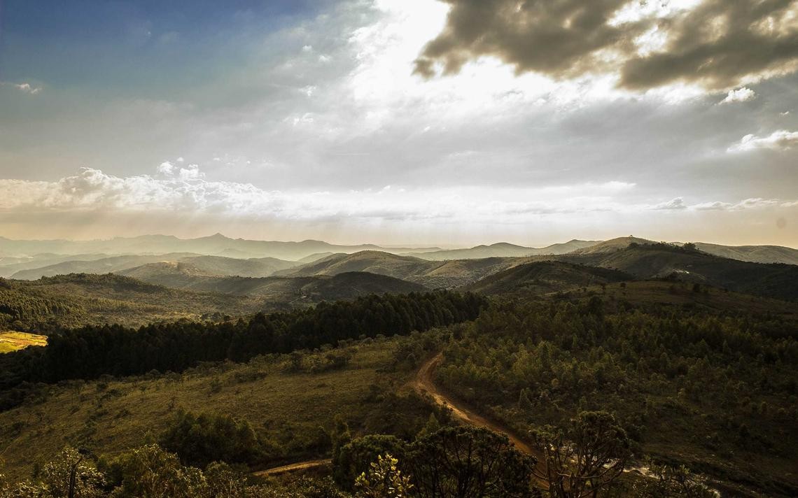 Medir KPIs digitales útiles para empresas de servicios B2B