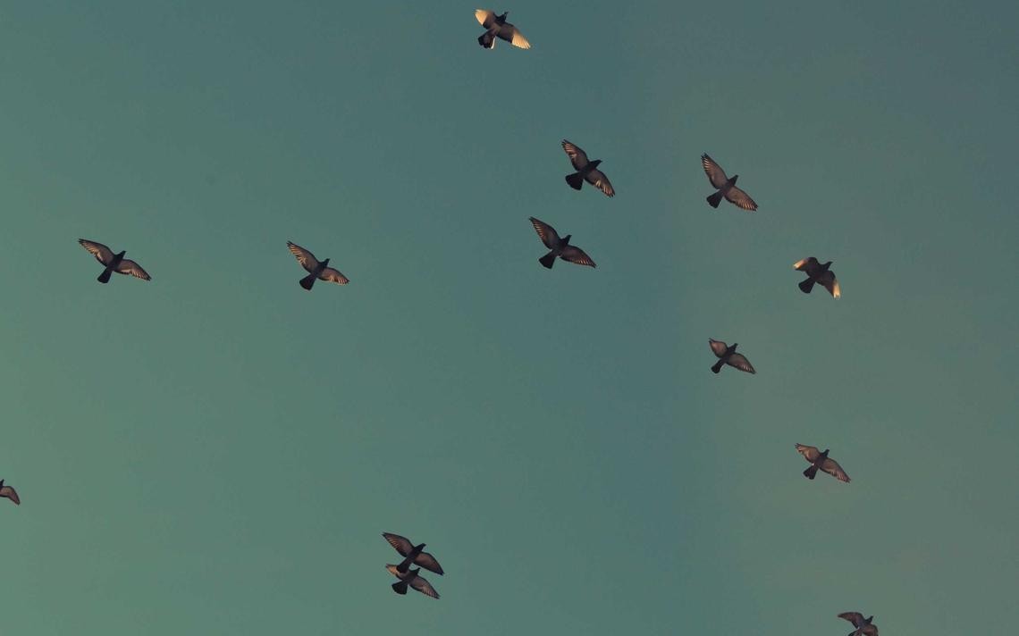 Montar campañas de Google Ads para equipos de marketing sin IT propio